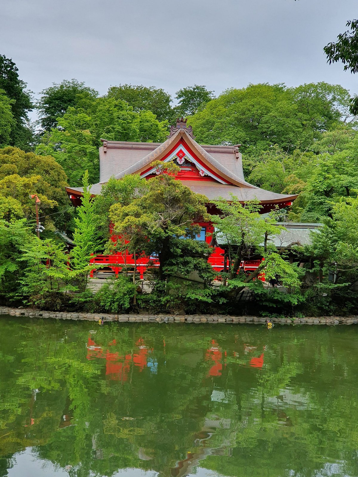 ⛩️ 이노카시라 벤자이텐 다이세이지 (이노카시라 벤자이텐 다이세이지)